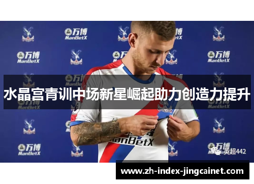 水晶宫青训中场新星崛起助力创造力提升